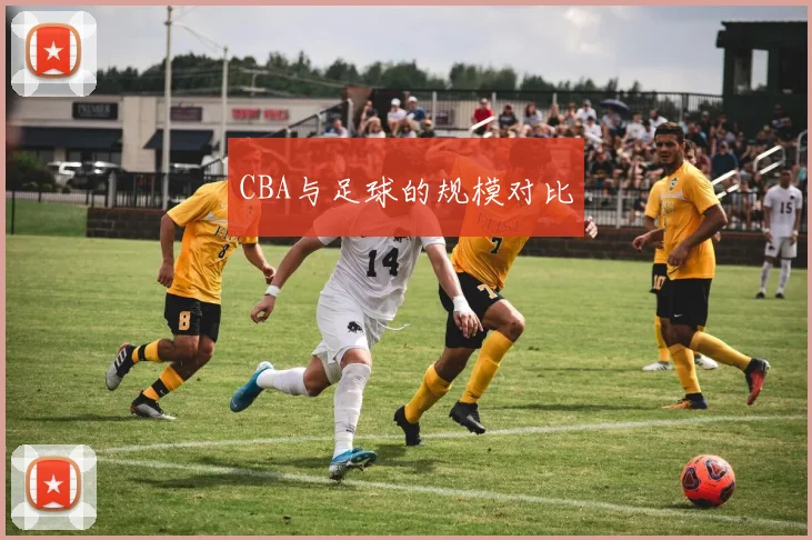 CBA与足球的规模对比